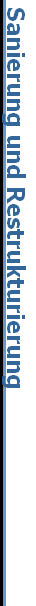 Sanierung und Restrukturierung